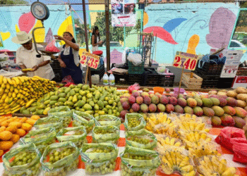 Inflación se desaceleró a 3.72% en primera mitad de diciembre