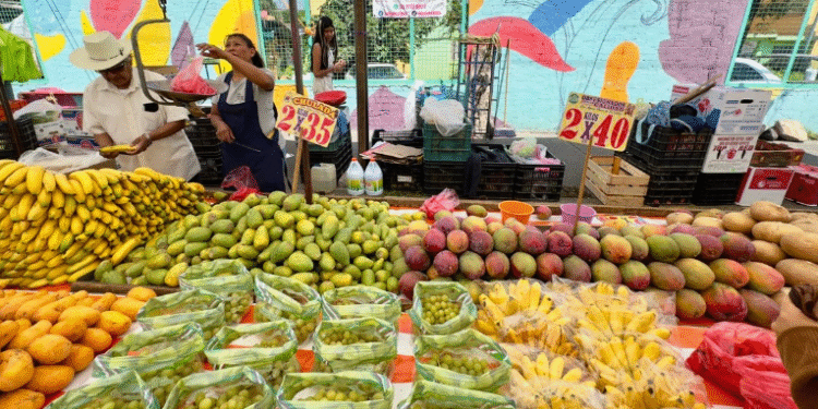 Inflación se desaceleró a 3.72% en primera mitad de diciembre