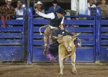 SETUR lleva a cabo con gran éxito la 4ta edición del Circuito de Rodeo