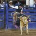SETUR lleva a cabo con gran éxito la 4ta edición del Circuito de Rodeo