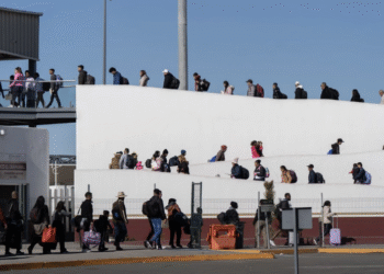 Se desploma la entrega de tarjetas de asilo humanitario en México