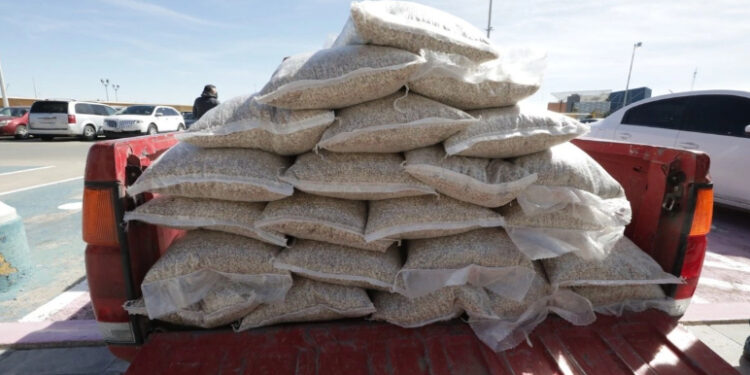 Cunde malestar entre productores de frijol en varios estados