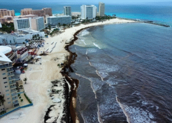 Isla Mujeres cerrará la temporada invernal con ocupación hotelera del 100%
