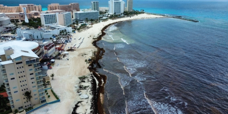 Isla Mujeres cerrará la temporada invernal con ocupación hotelera del 100%