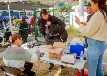 Mantiene Ayuntamiento de Guaymas acciones de salud  para las familias