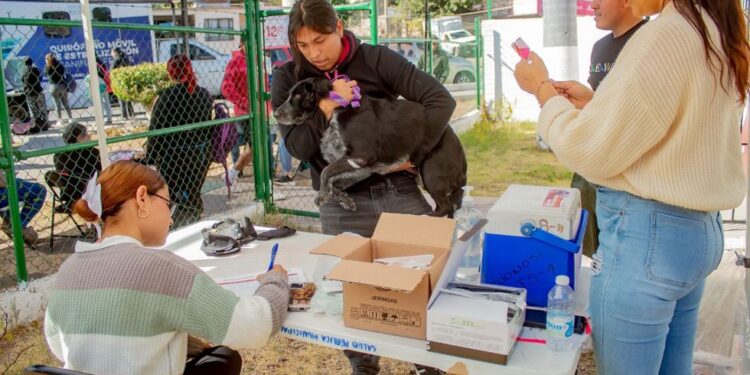 Mantiene Ayuntamiento de Guaymas acciones de salud para las familias