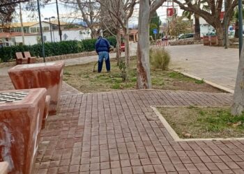 Programa de limpieza permanente
