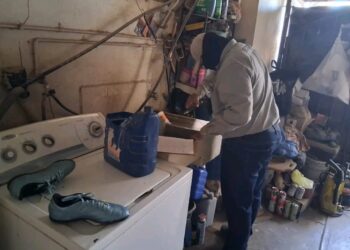 Mantener patios limpios reduce riesgos de dengue y rickettsiosis: Salud Sonora