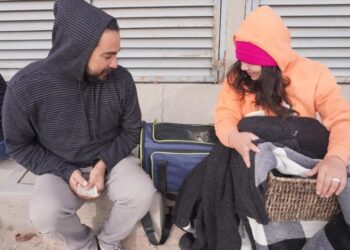 Con esterilizaciones gratuitas fortalece 30 Ayuntamiento el bienestar animal en SLRC