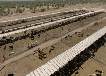 Durazo logra alianza con UGRS e impulsan más de 800 millones para parque industrial y modernización ganadera