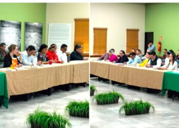 APRUEBA CABILDO REGLAMENTO PARA EL FUNCIONAMIENTO DE ESTABLECIMIENTOS MERCANTILES