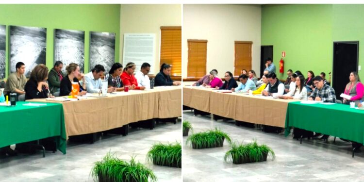 APRUEBA CABILDO REGLAMENTO PARA EL FUNCIONAMIENTO DE ESTABLECIMIENTOS MERCANTILES