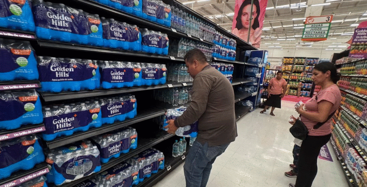 Consumo privado de bienes y servicios continuó moderado al final de 2025