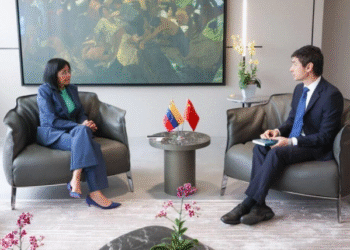 Delcy Rodríguez se reúne con embajador de China; agradece apoyo ante incursión de EU