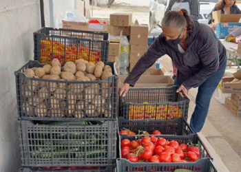 Apoyó Banco de Alimentos a 718 mil personas durante el año 2025