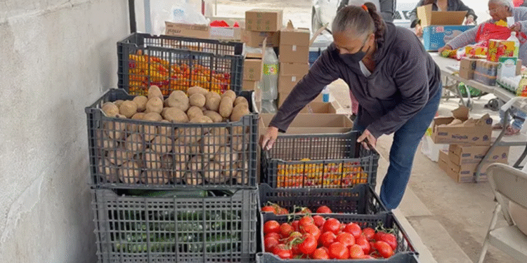 Apoyó Banco de Alimentos a 718 mil personas durante el año 2025