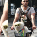 Auge de negocios en torno a mascotas; hay más de 5 mil en CDMX
