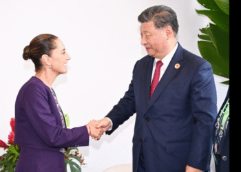 Mirar al futuro con visión de largo plazo – con motivo del Año Nuevo/ Embajador de China en México