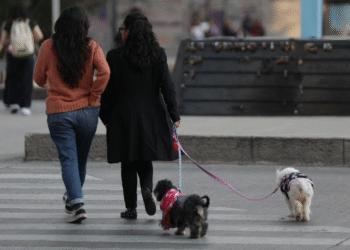 Pronostican lluvias fuertes y ambiente muy frío sobre entidades de la Mesa Norte y Mesa Central