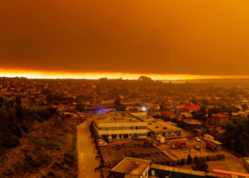 Incendios forestales arrasan comunidades enteras en Chile dejando al menos 16 muertos; gobierno decreta catástrofe