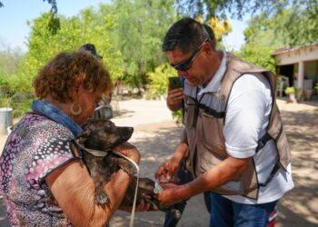 Salud Sonora intensifica prevención y seguimiento de casos de fiebre manchada
