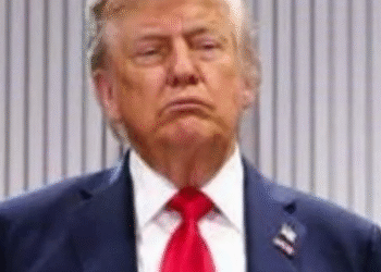 Aceptó Trump que intervenir en México no es necesario: Sheinbaum