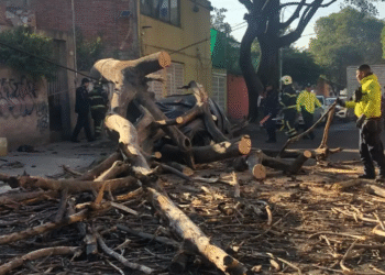 Sismo magnitud 6.5 despierta a la CDMX; epicentro fue en Guerrero