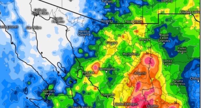 Hoy, la tormenta invernal se extenderá por todo el estado