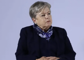Presenta Bárcena en Davos ejes de México para el desarrollo sostenible y transición energética