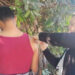 Llaman a vacunar a niñas y niños para prevenir el sarampión