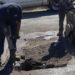 PROGRAMA PERMANENTE DE BACHEO EN ACCIÓN EN CANANEA