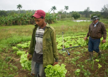 Cuba acudirá a EU y querrá alcanzar un acuerdo: Trump