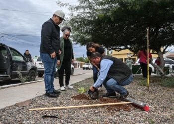 LLEVAN JORNADA DE RECUPERACIÓN DE ESPACIOS  AL PARQUE ÁLAMOS