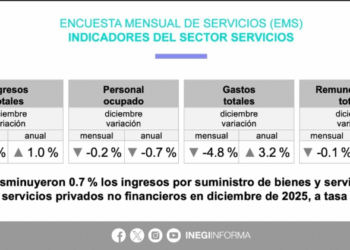 Ingresos de servicios disminuyeron 0.7% en diciembre: Inegi