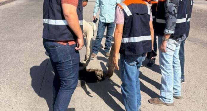 Refuerzan supervisión del sistema de drenaje en el sector centro, ante la proximidad del Carnaval