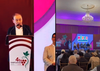 Sonora se consolida como referente nacional en la producción de uva de mesa.