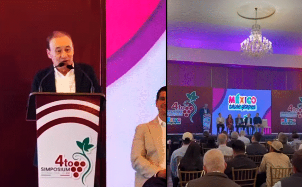 Sonora se consolida como referente nacional en la producción de uva de mesa.