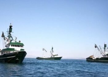 Demandan reducir periodo de pesca a barcos sardineros