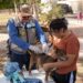 Perritos sanos, familias protegidas: invitan a Clínicas Móviles para evitar enfermedades zoonóticas