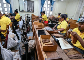 Suspenden el Festival del Habano, encuentro de alcance global