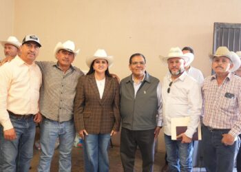 Gobierno de Sonora impulsa financiamiento para fortalecer la engorda de ganado en Sonora