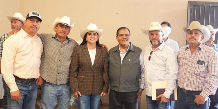 Gobierno de Sonora impulsa financiamiento para fortalecer la engorda de ganado en Sonora