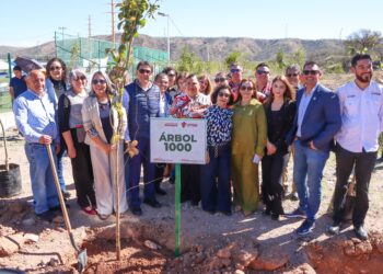 Conmemoran Día de los Bosques con jornada de reforestación