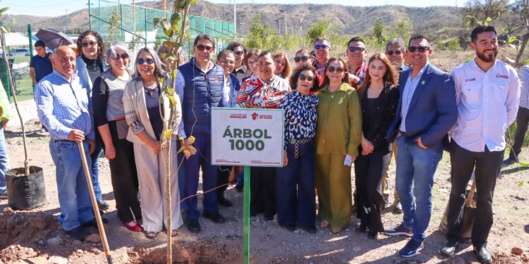 Conmemoran Día de los Bosques con jornada de reforestación