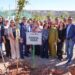 Conmemoran Día de los Bosques con jornada de reforestación