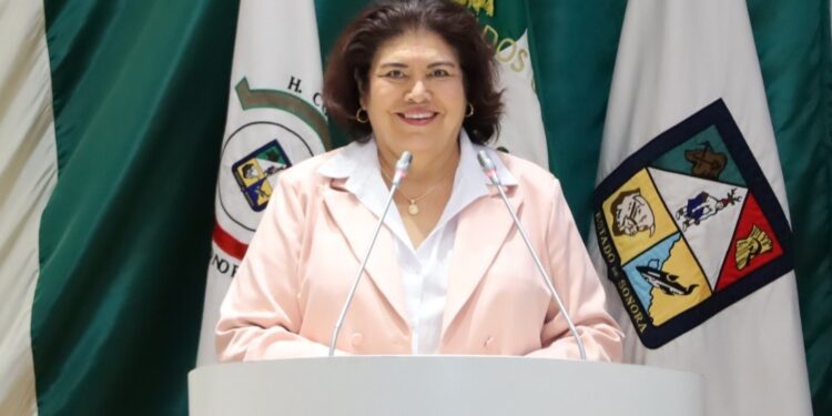 Propone la diputada María Alicia Gaytán crear el Sistema de Registro Hospitalario de Nacimientos.