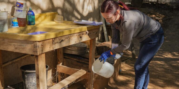 Llama Secretaría de Salud a limpiar patios para prevenir el dengue