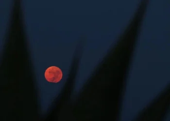 Aluminio alcanza su nivel más alto en un mes tras ataques de EU e Israel a Irán