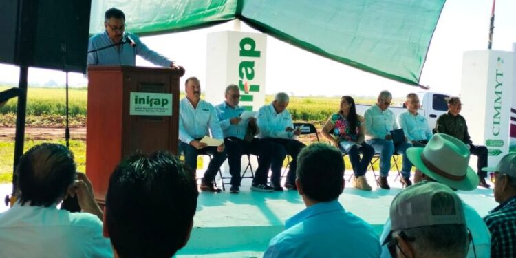 LAMARQUE RECONOCE 70 AÑOS DE ESFUERZO AGRÍCOLA EN EL VALLE DEL YAQUI