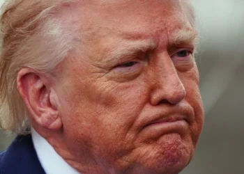 Avanza Baja California a los primeros lugares en generación de empleo formal con el gobierno de Marina del Pilar